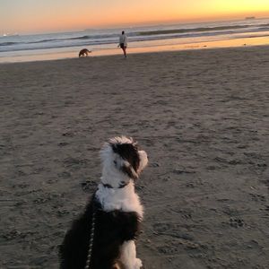 Meet your Posher, Valentina